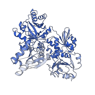 26359_7u5u_A_v1-1
Structure of the SK/DHQase/DHSD dimer from Candida albicans Aro1