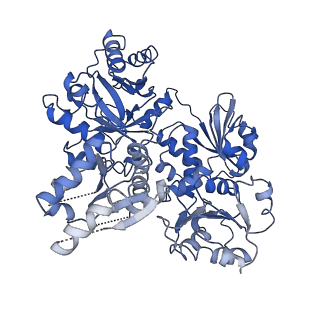 26359_7u5u_A_v1-2
Structure of the SK/DHQase/DHSD dimer from Candida albicans Aro1