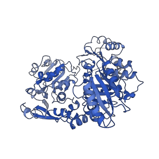 26359_7u5u_B_v1-1
Structure of the SK/DHQase/DHSD dimer from Candida albicans Aro1
