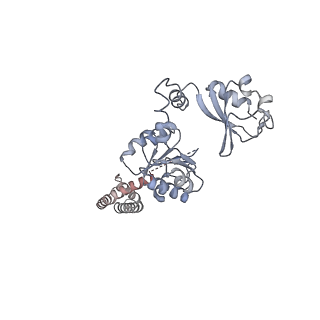 20665_6u6h_B_v1-1
Calcium-bound MthK open-inactivated state 3