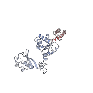 20665_6u6h_D_v1-1
Calcium-bound MthK open-inactivated state 3