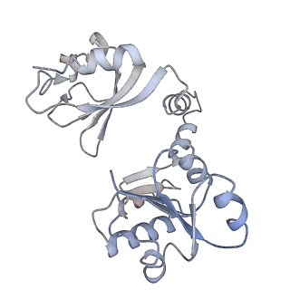 20665_6u6h_G_v1-1
Calcium-bound MthK open-inactivated state 3