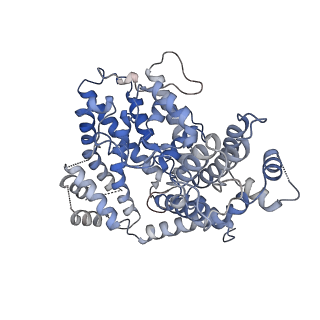 26360_7u65_A_v1-1
Structure of E. coli dGTPase bound to T7 bacteriophage protein Gp1.2