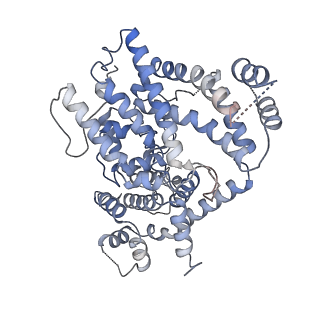 26360_7u65_B_v1-1
Structure of E. coli dGTPase bound to T7 bacteriophage protein Gp1.2