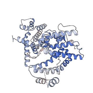 26360_7u65_D_v1-1
Structure of E. coli dGTPase bound to T7 bacteriophage protein Gp1.2
