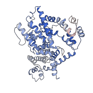 26361_7u66_B_v1-1
Structure of E. coli dGTPase bound to T7 bacteriophage protein Gp1.2 and dGTP