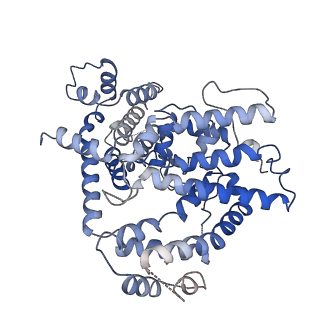 26361_7u66_D_v1-1
Structure of E. coli dGTPase bound to T7 bacteriophage protein Gp1.2 and dGTP