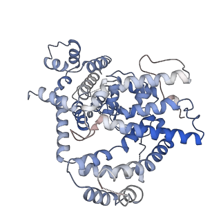 26362_7u67_D_v1-1
Structure of E. coli dGTPase bound to T7 bacteriophage protein Gp1.2 and GTP