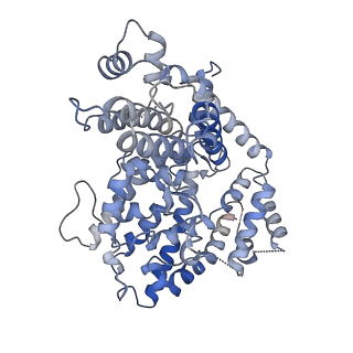 26362_7u67_E_v1-1
Structure of E. coli dGTPase bound to T7 bacteriophage protein Gp1.2 and GTP