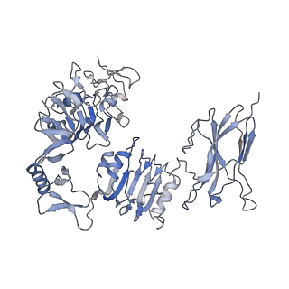 26364_7u6e_E_v1-0
Head region of insulin receptor ectodomain (A-isoform) bound to the non-insulin agonist IM462