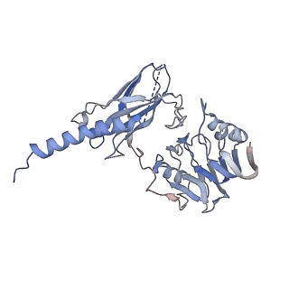 26364_7u6e_F_v1-0
Head region of insulin receptor ectodomain (A-isoform) bound to the non-insulin agonist IM462