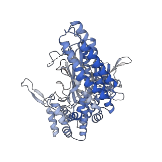 26377_7u6o_A_v1-0
Glutamine Synthetase Type III from Ostreococcus tauri