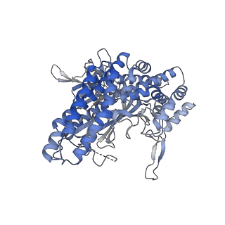 26377_7u6o_C_v1-0
Glutamine Synthetase Type III from Ostreococcus tauri