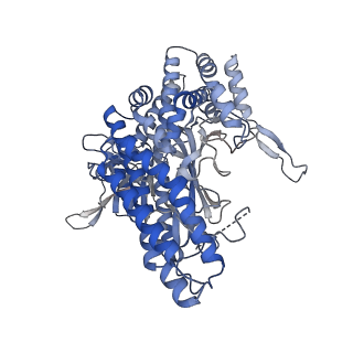 26377_7u6o_D_v1-0
Glutamine Synthetase Type III from Ostreococcus tauri