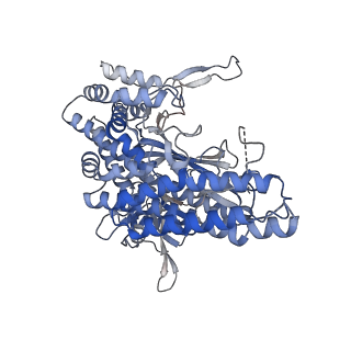 26377_7u6o_E_v1-0
Glutamine Synthetase Type III from Ostreococcus tauri