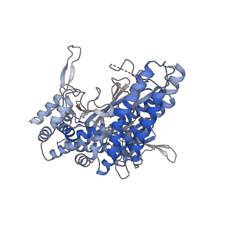 26377_7u6o_F_v1-0
Glutamine Synthetase Type III from Ostreococcus tauri