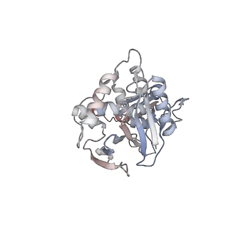 26381_7u6v_A_v1-0
Cryo-EM structure of Shiga toxin 2 in complex with the native ribosomal P-stalk