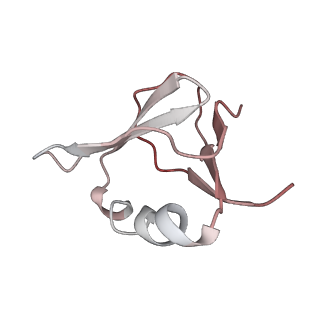 26381_7u6v_F_v1-0
Cryo-EM structure of Shiga toxin 2 in complex with the native ribosomal P-stalk
