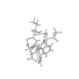 26381_7u6v_P_v1-0
Cryo-EM structure of Shiga toxin 2 in complex with the native ribosomal P-stalk