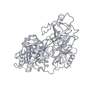 41940_8u61_A_v1-0
Human RADX tetramer bound to ssDNA