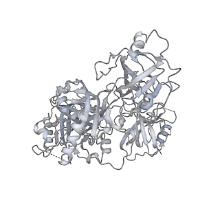 41940_8u61_A_v1-1
Human RADX tetramer bound to ssDNA