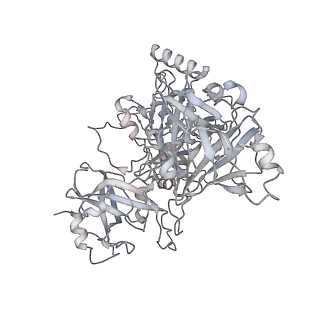 41940_8u61_B_v1-0
Human RADX tetramer bound to ssDNA