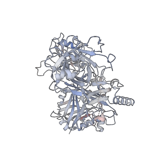 41940_8u61_C_v1-0
Human RADX tetramer bound to ssDNA