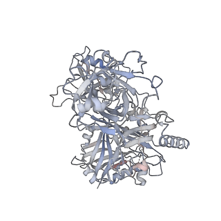 41940_8u61_C_v1-1
Human RADX tetramer bound to ssDNA