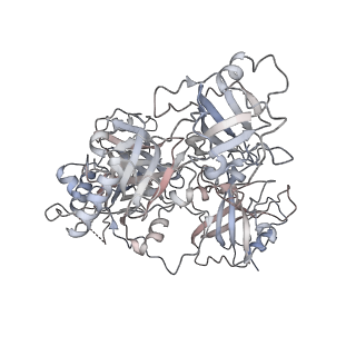 41940_8u61_D_v1-0
Human RADX tetramer bound to ssDNA