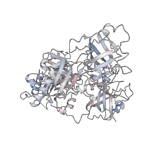 41940_8u61_D_v1-1
Human RADX tetramer bound to ssDNA