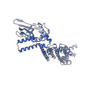 8511_5u6o_A_v1-1
Structure of the human HCN1 hyperpolarization-activated cyclic nucleotide-gated ion channel