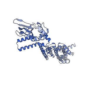 8511_5u6o_A_v1-2
Structure of the human HCN1 hyperpolarization-activated cyclic nucleotide-gated ion channel