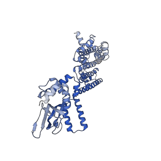 8511_5u6o_B_v1-1
Structure of the human HCN1 hyperpolarization-activated cyclic nucleotide-gated ion channel