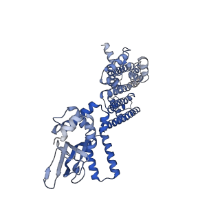 8511_5u6o_B_v1-2
Structure of the human HCN1 hyperpolarization-activated cyclic nucleotide-gated ion channel