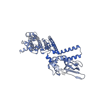 8511_5u6o_C_v1-1
Structure of the human HCN1 hyperpolarization-activated cyclic nucleotide-gated ion channel