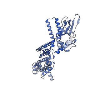 8511_5u6o_D_v1-1
Structure of the human HCN1 hyperpolarization-activated cyclic nucleotide-gated ion channel