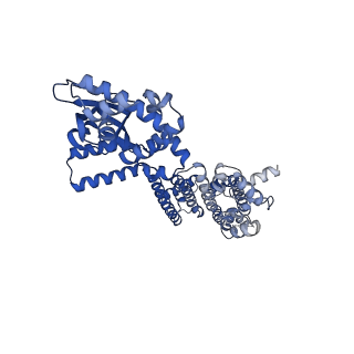 8512_5u6p_A_v1-1
Structure of the human HCN1 hyperpolarization-activated cyclic nucleotide-gated ion channel in complex with cAMP