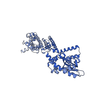 8512_5u6p_C_v1-2
Structure of the human HCN1 hyperpolarization-activated cyclic nucleotide-gated ion channel in complex with cAMP