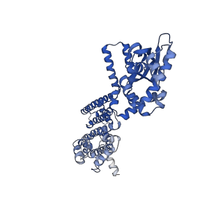 8512_5u6p_D_v1-1
Structure of the human HCN1 hyperpolarization-activated cyclic nucleotide-gated ion channel in complex with cAMP