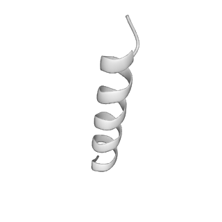 8512_5u6p_F_v1-2
Structure of the human HCN1 hyperpolarization-activated cyclic nucleotide-gated ion channel in complex with cAMP