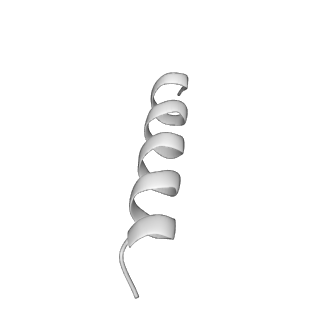 8512_5u6p_H_v1-2
Structure of the human HCN1 hyperpolarization-activated cyclic nucleotide-gated ion channel in complex with cAMP