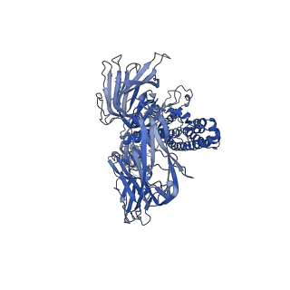 20668_6u7h_B_v1-1
Cryo-EM structure of the HCoV-229E spike glycoprotein