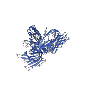 20668_6u7h_C_v1-1
Cryo-EM structure of the HCoV-229E spike glycoprotein