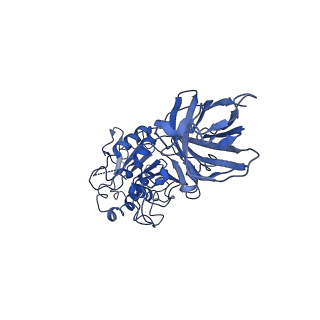 20673_6u7m_D_v1-2
Cryo-EM Structure of Helical Lipoprotein Lipase