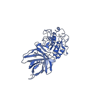 20673_6u7m_E_v1-2
Cryo-EM Structure of Helical Lipoprotein Lipase