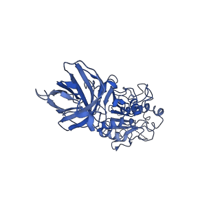 20673_6u7m_F_v1-2
Cryo-EM Structure of Helical Lipoprotein Lipase