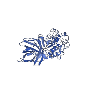 20673_6u7m_K_v1-2
Cryo-EM Structure of Helical Lipoprotein Lipase