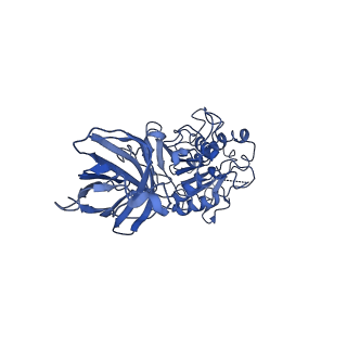 20673_6u7m_L_v1-2
Cryo-EM Structure of Helical Lipoprotein Lipase