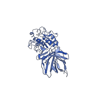 20673_6u7m_O_v1-2
Cryo-EM Structure of Helical Lipoprotein Lipase