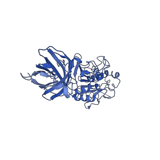 20673_6u7m_Q_v1-2
Cryo-EM Structure of Helical Lipoprotein Lipase